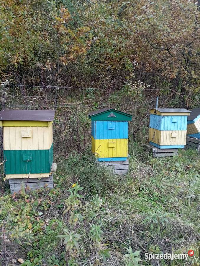 Ile wielkopolskie Grodzisko