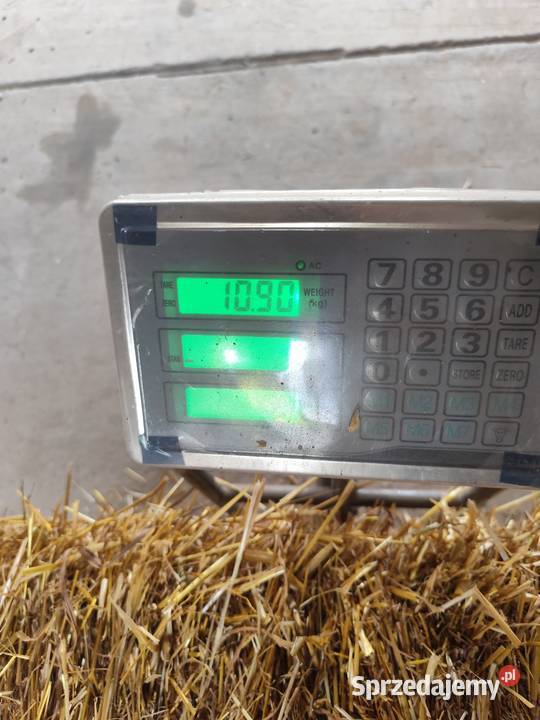 Słoma owsiana Proszowice sprzedam