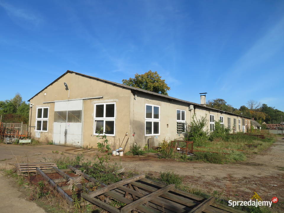 Syndyk sprzeda zakład produkcyjny wyposażeniem w Produkcja Panowice sprzedam