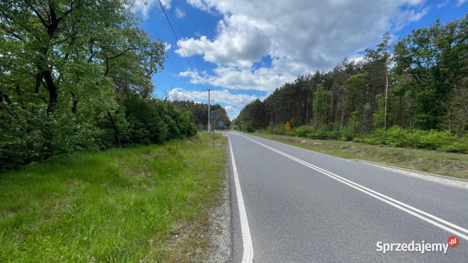 Piękna zielona działka wśród lasów z warunkami Siedlisko