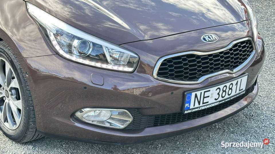 Kia Ceed 16 Benzyna Bogato Wyposażony II 2012 Zarejestrowany w Polsce Elbląg