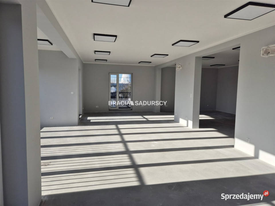 Lokal Kraków Łęg 310m2