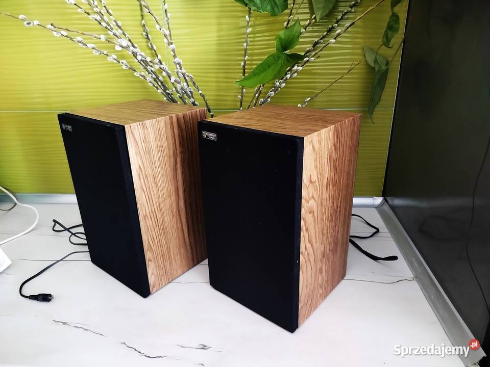 Amator DDS 101 stereo renowacji plus kolumny mazowieckie Mińsk Mazowiecki