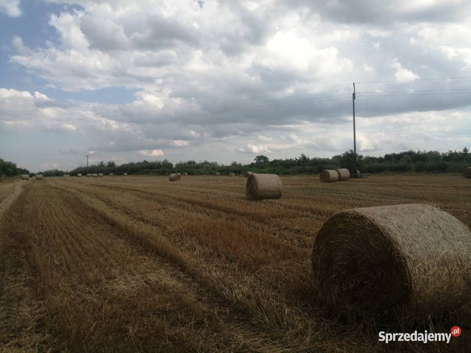 Sloma Trawy, słoma małopolskie Bochnia