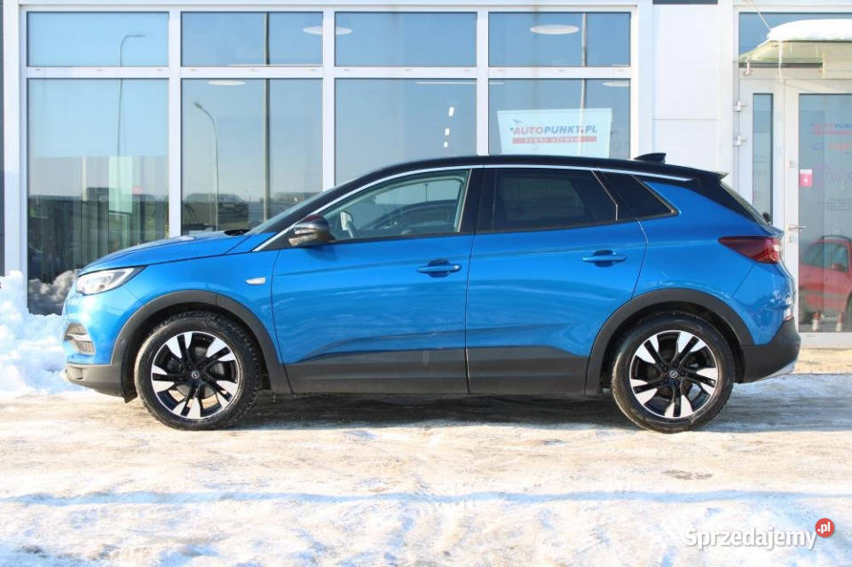 Opel Grandland X 2021r Pam Foteli Podgrzew i Opel Gdańsk