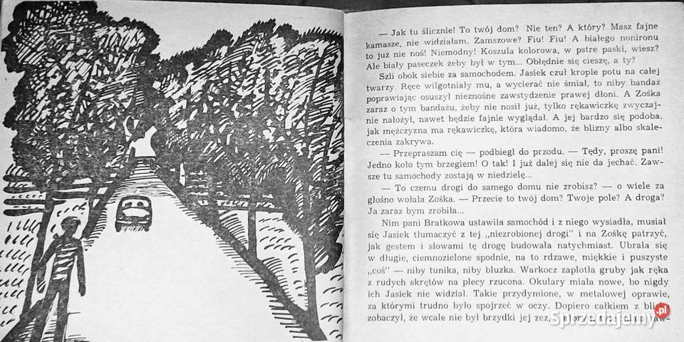 Szczenięca miłość Janina Barbara Górkiewiczowa miękka Chełm sprzedam