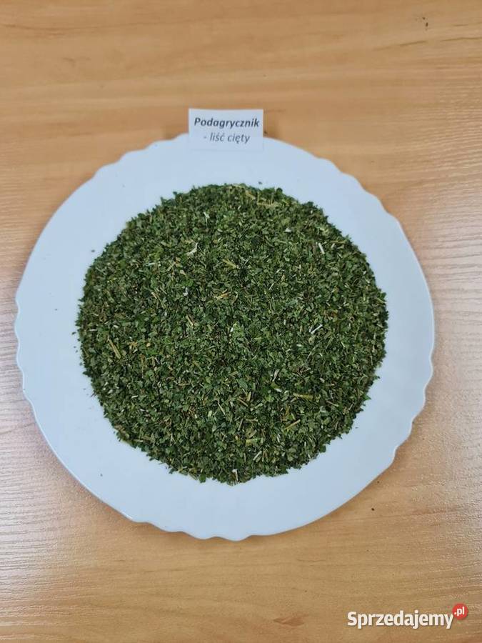 Podagrycznik liść cięty 50g ziołowa moc Białystok