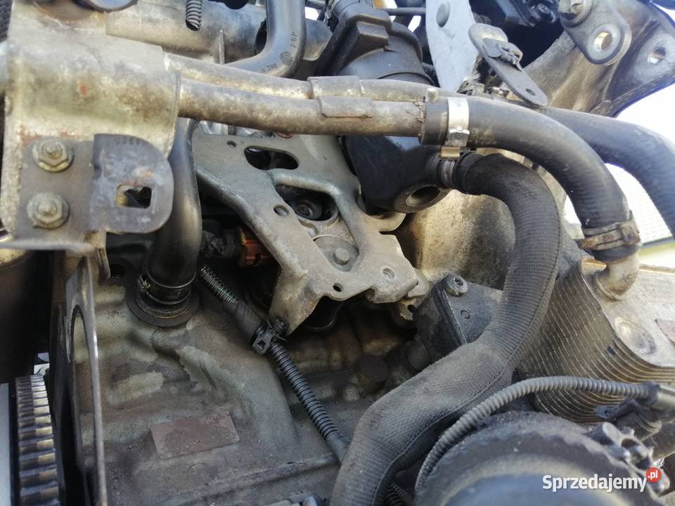 Opel Astra Vectra Zafira 19 CDTi 150 silnik Jastrzębie-Zdrój