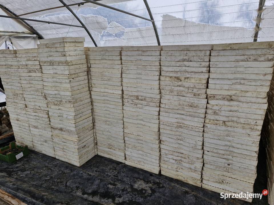 Multiplaty styropianowe Fori 228 wielodoniczki Dąbrowa Białostocka