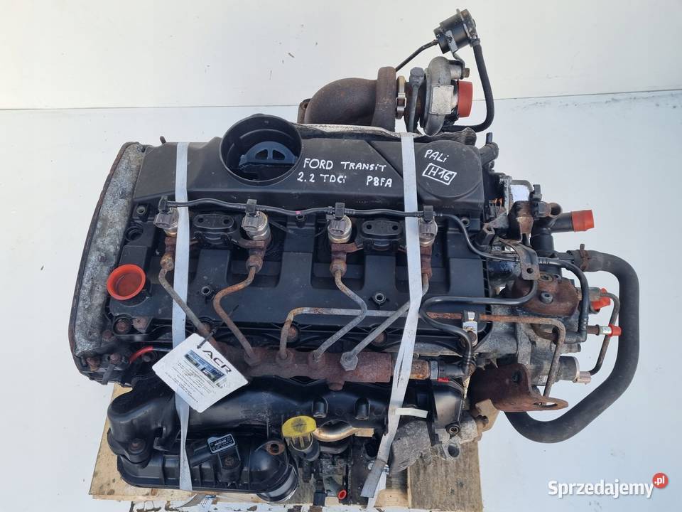 SILNIK KOMPL Ford Transit VII MK7 22 TDCI 85 Janów
