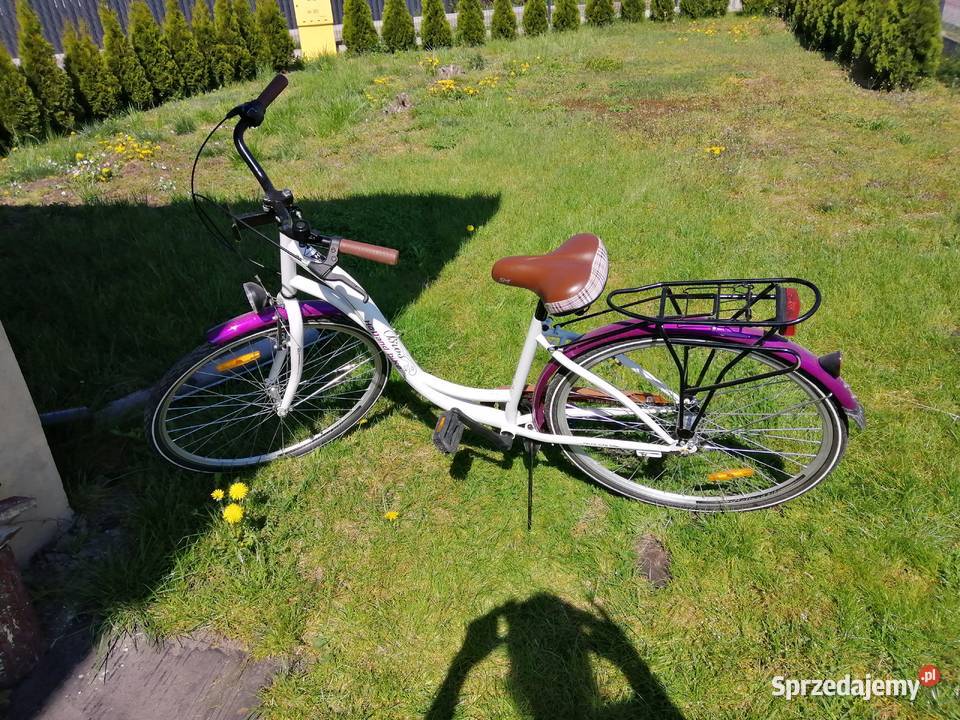 Damski rower miejski BROS HOLAND 28 Eco damka Włostów