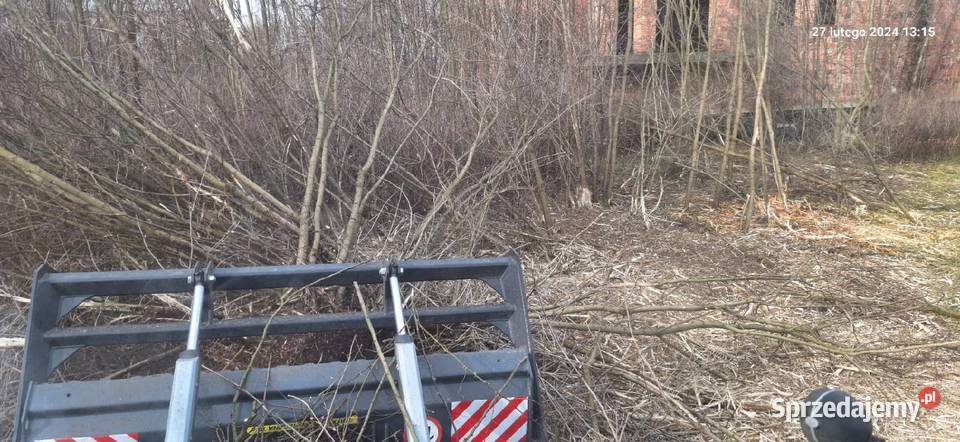 Wycinka drzew Czyszczenie działek Mulczowanie Tychy prace ogrodowe