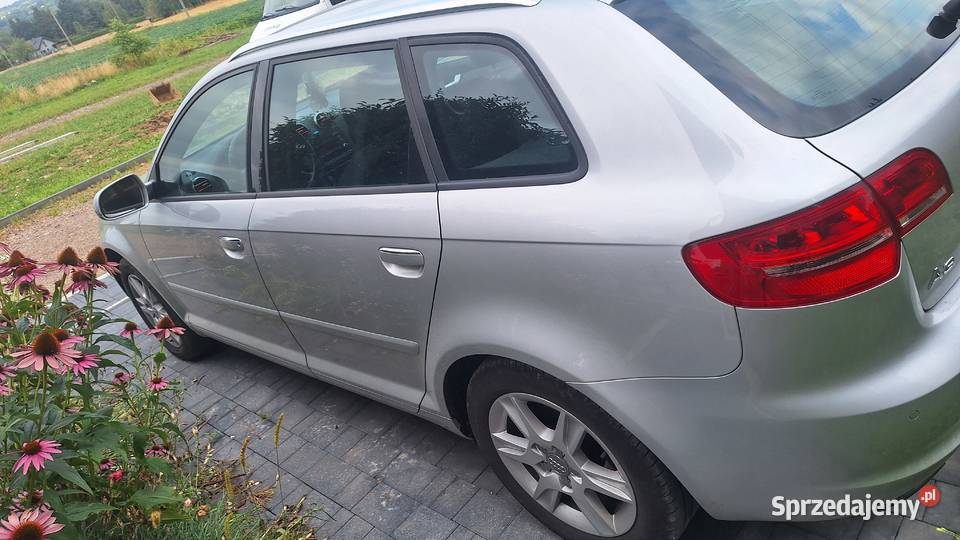 Audi A3 8P Brzeźnica