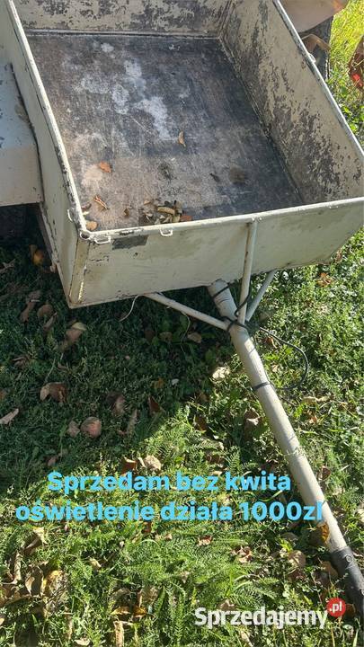 Przeczytaj sam Tarnów