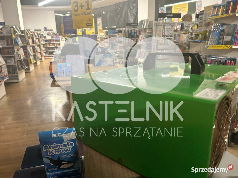 Odgrzybianie ścian Leszno Kastelnik Usuwanie