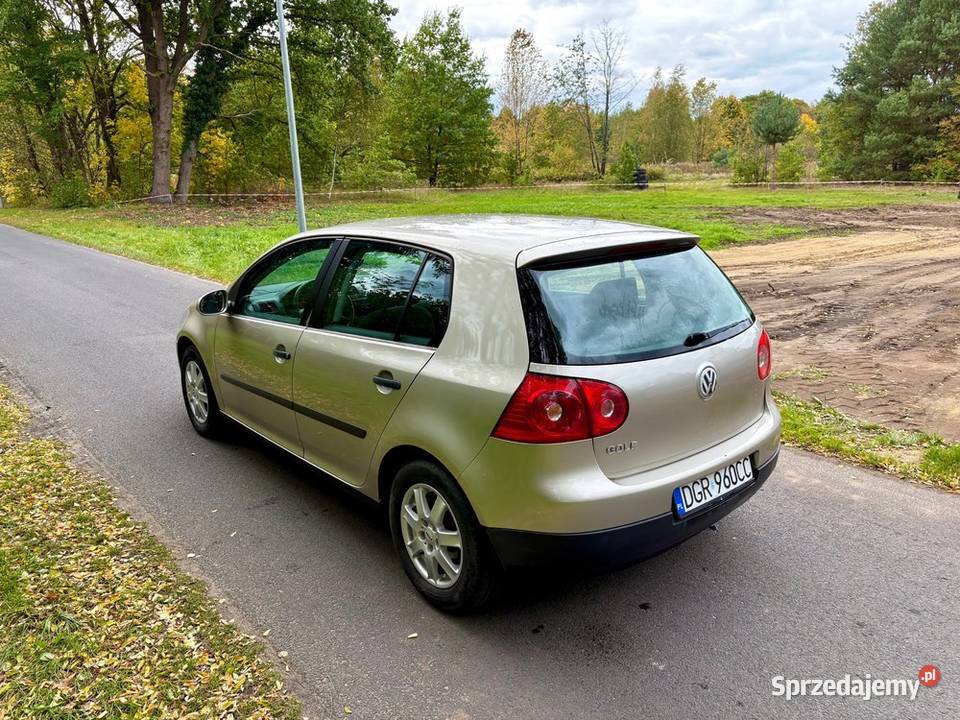Volkswagen Golf V 14 MPI dużym serwisie Iłowa