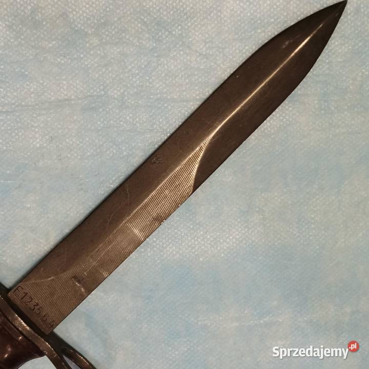 Bagnet włoski łódzkie Łódź