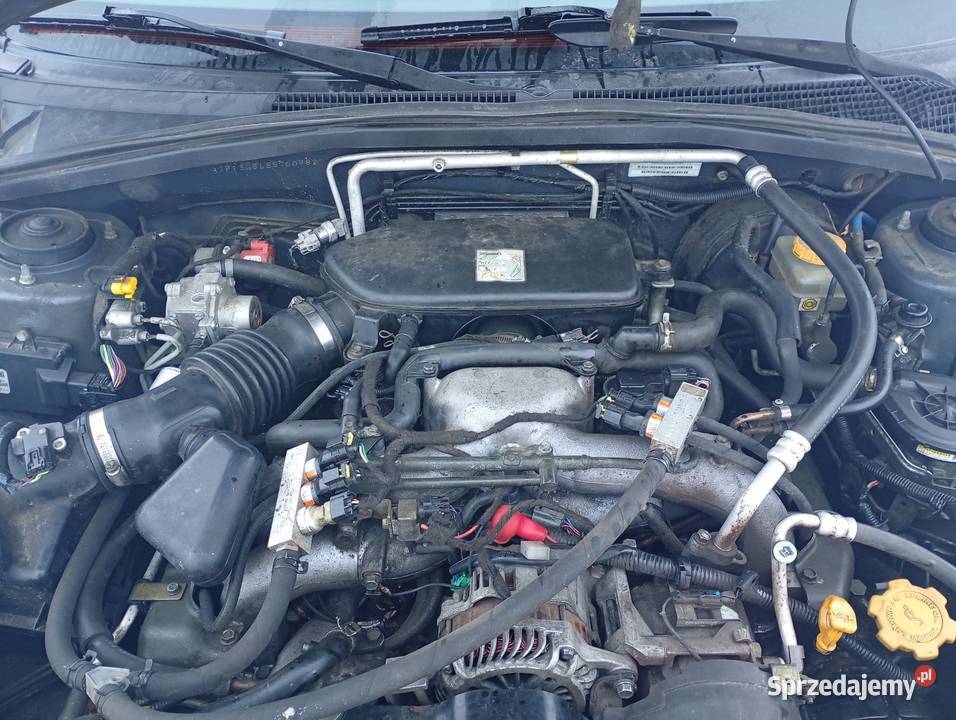 Subaru Forester 20 155454km Forester Bartoszyce