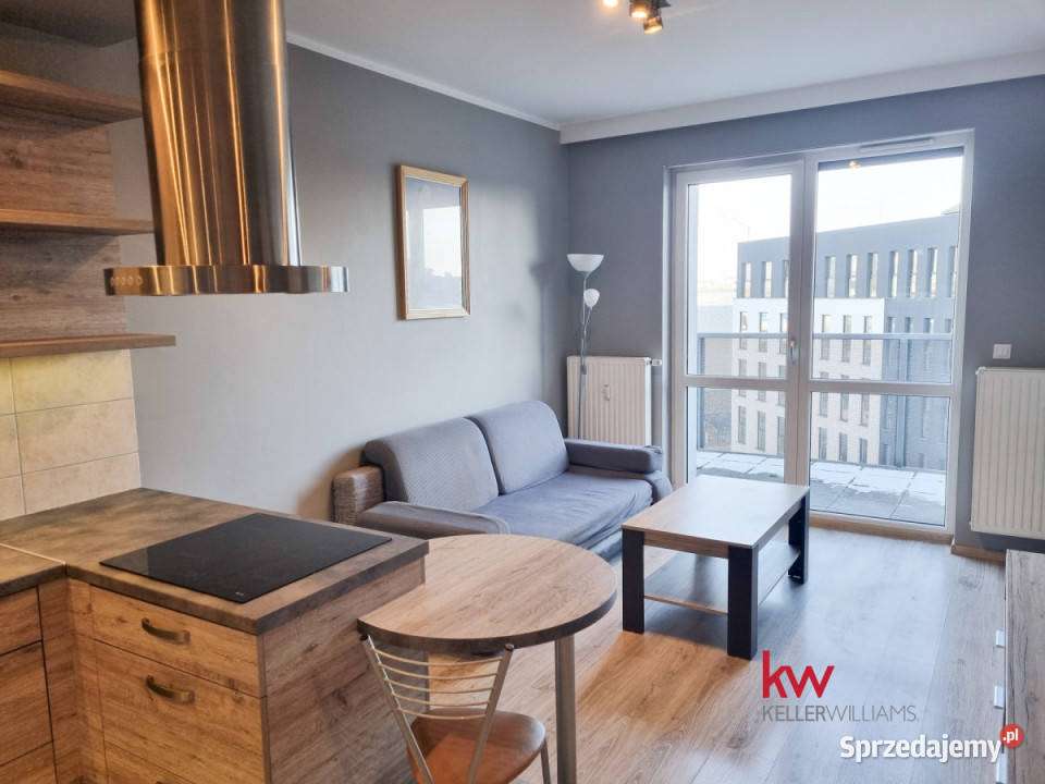 Mieszkanie 4715m2 2 pokoje Poznań Wilczak