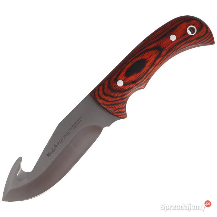 Nóż Muela Bisonte11R Pakka Wood Satin X50CrMoV15