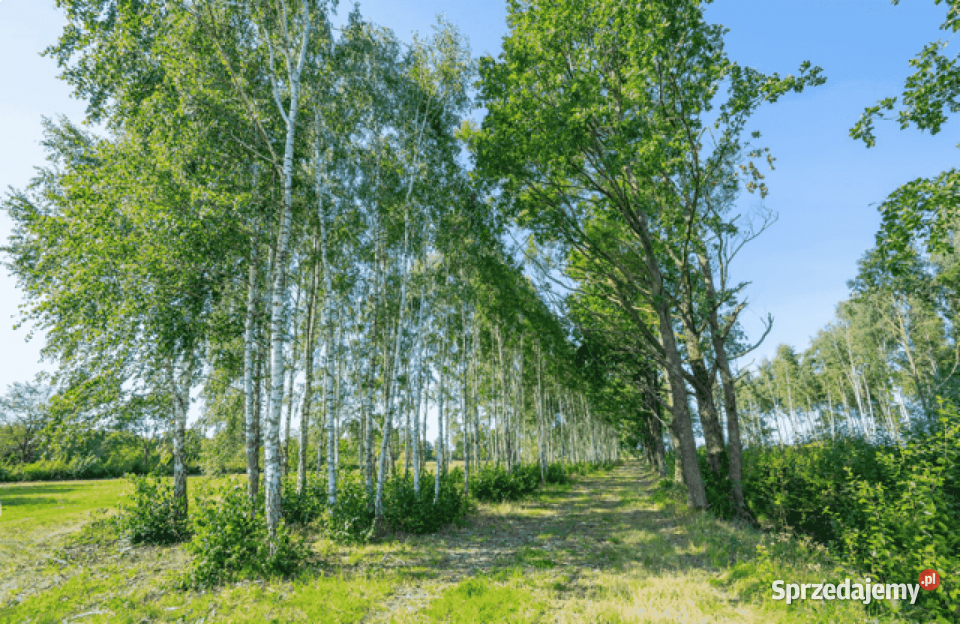 Działka budowlana 552m2 urokliwa i spokojna Darłowo