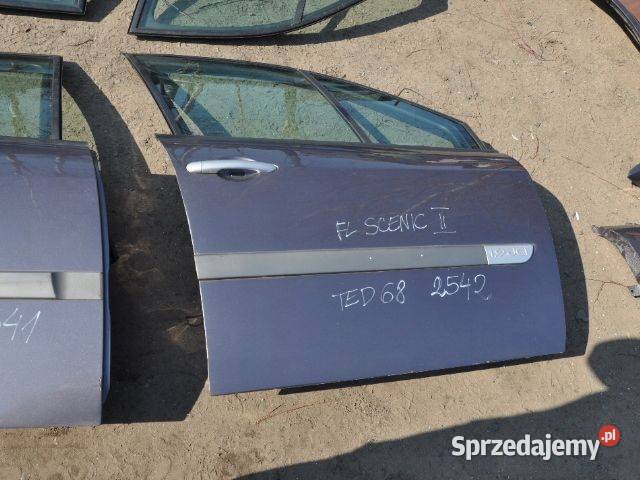 scenic II FL drzwi kolor TED68 2542 WYSYŁKA osobowe Żory