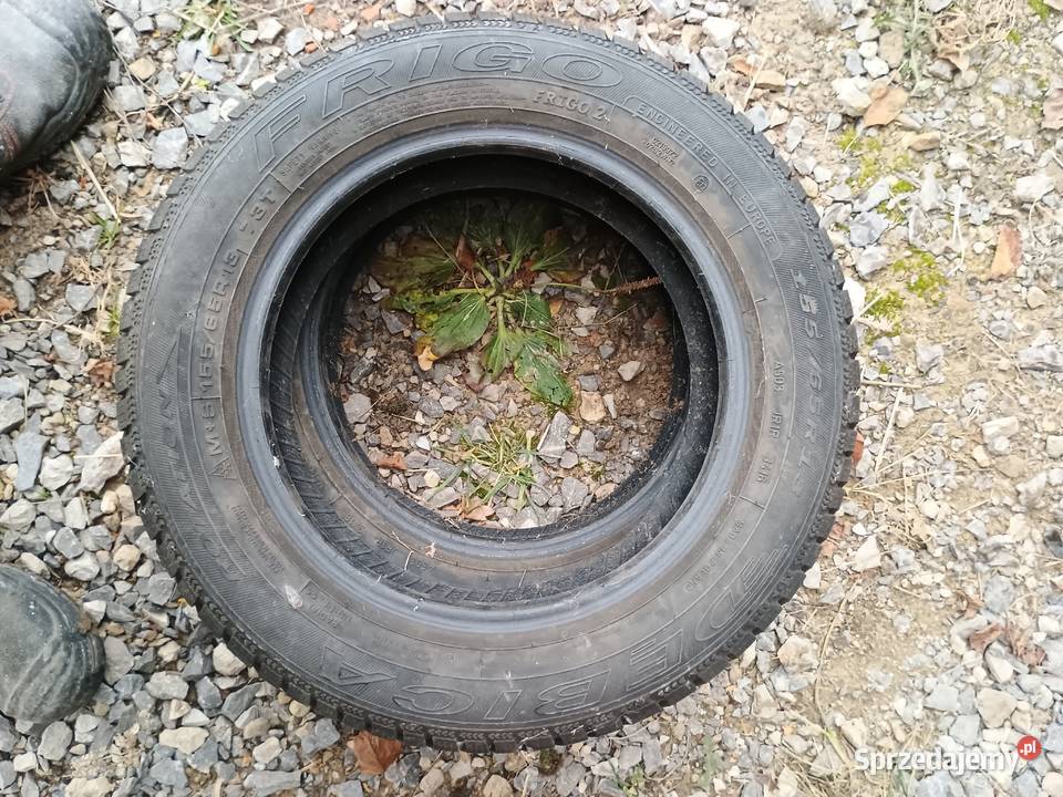 Opony zimowe Dębica Frigo 2 155 65 13