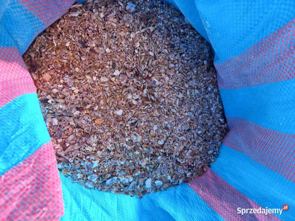 Naturalna pasza ptaków Hodowla drobiu Rakowice Małe