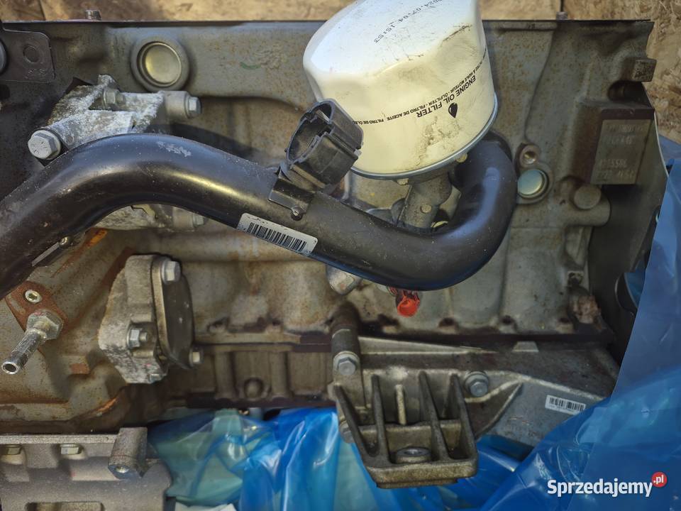 Blok silnika Iveco Daily 30 LPG CNG lubuskie Obłotne