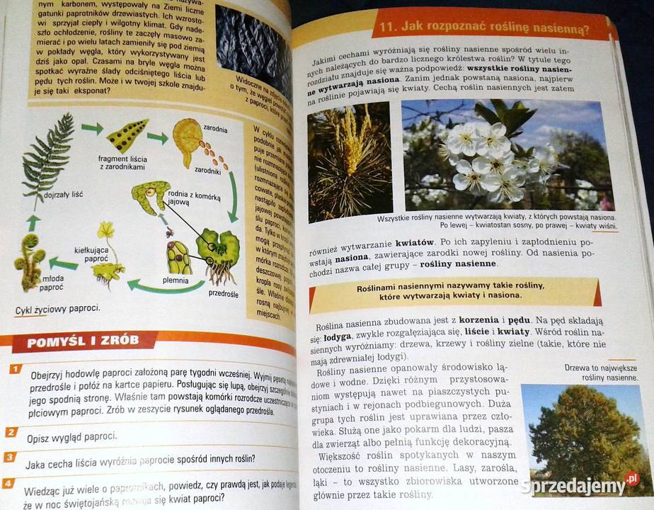 Spotkania z przyrodą 5 A Czubaj R Czubaj R Pozostałe Chełm