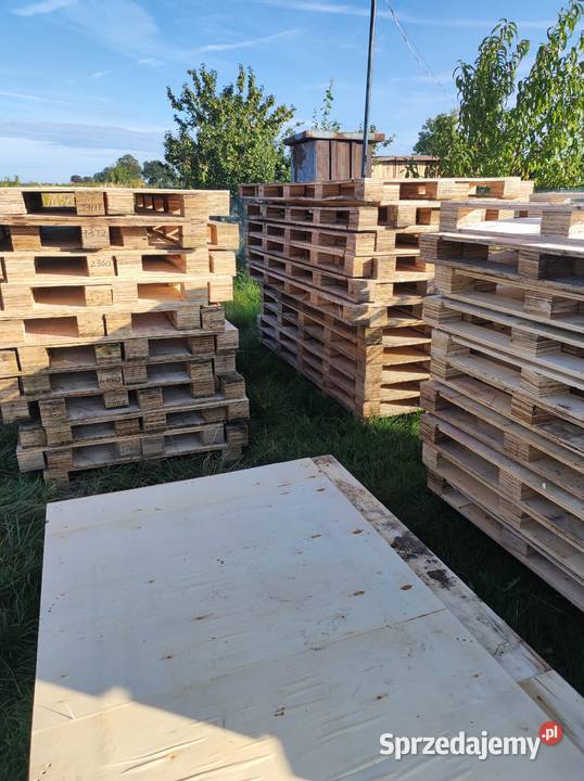 Paleta sklejka dolnośląskie Chojnów