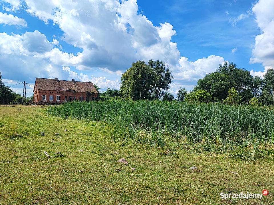 Siedlisko RADZIEJE mieszkanie 67 m2 działka polna warmińsko-mazurskie