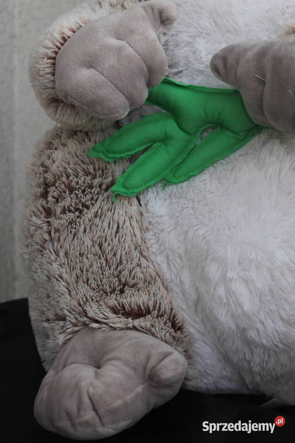 Duża Koala z eukaliptusem Maskotka Pluszak Katowice sprzedam