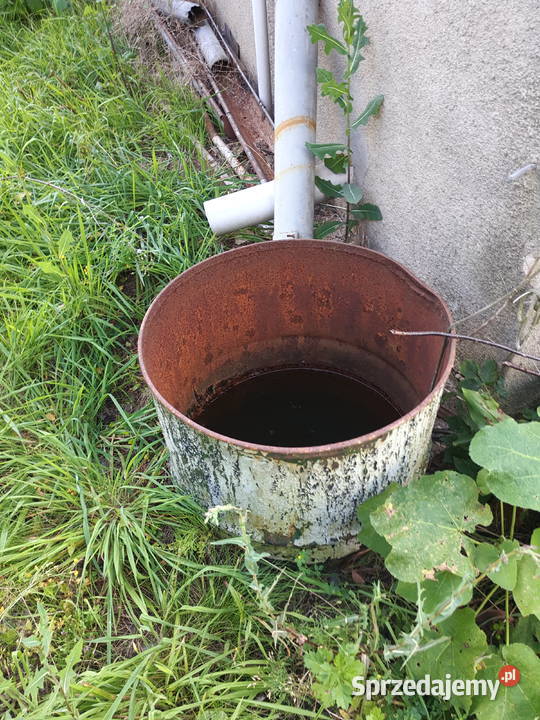 Na sprzedaż działka rekreacyjna ROD Gorzów Wielkopolski