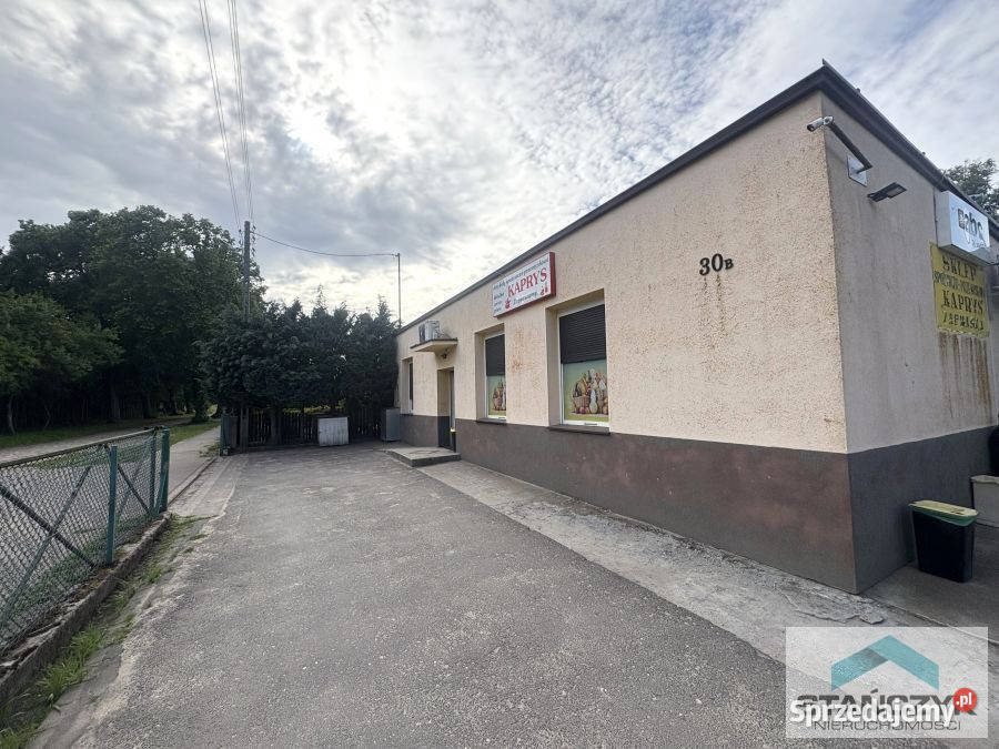 Dom wolnostojący do sprzedania 100m2 Górki