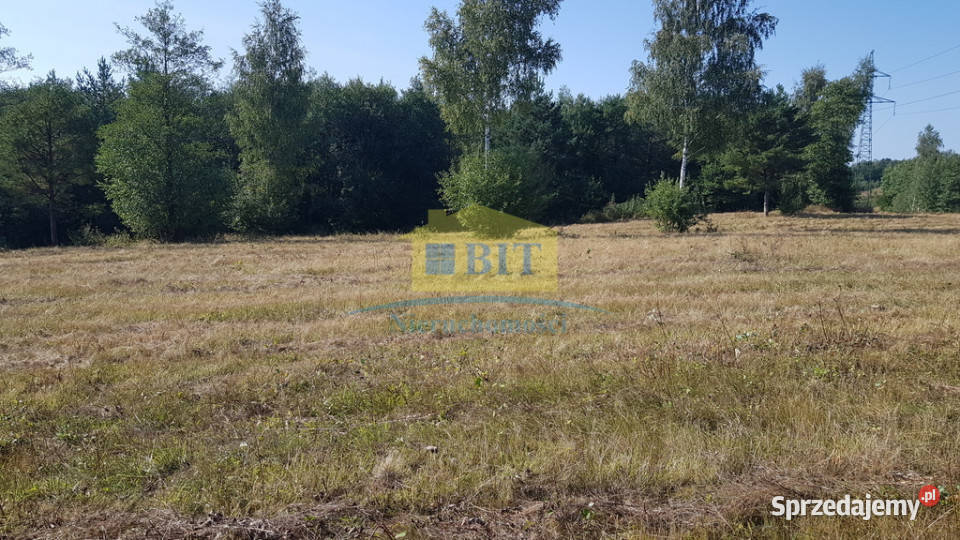 Działka 212 ha jeziorze Drawskim Grunty i działki Kluczewo