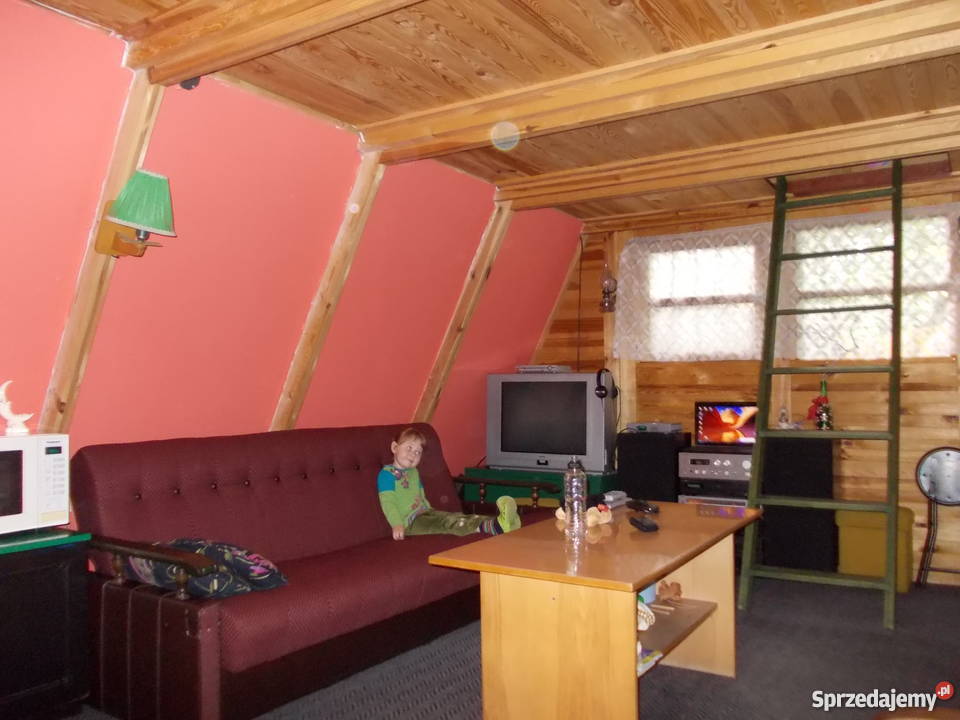 Działka Rekreacyjna ROD Poznań osWarszawskie wielkopolskie Poznań