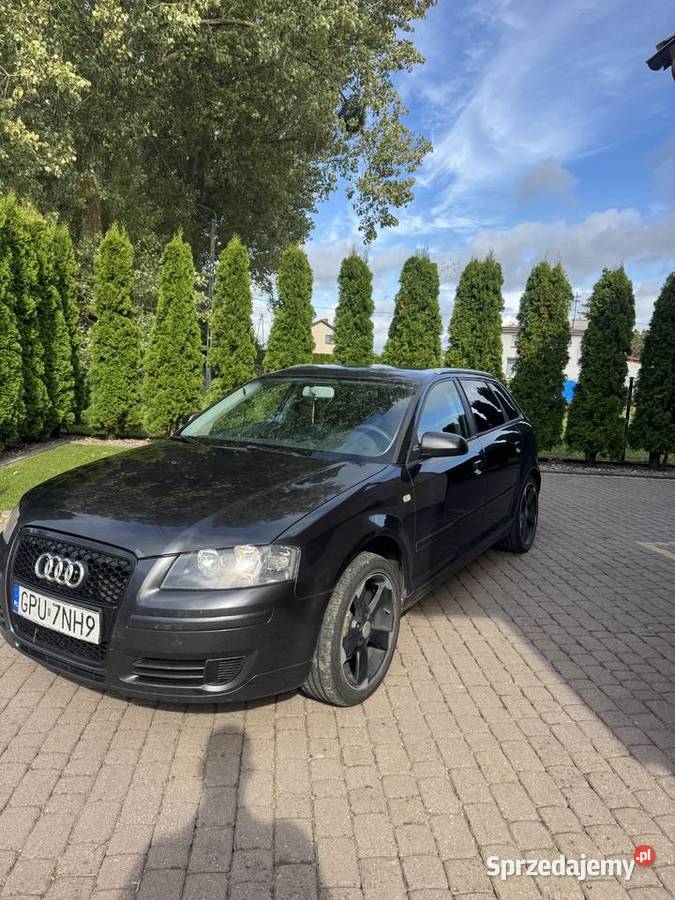 Audi A3 8p Sportback 19 tdi 1896cm3 Karlikowo