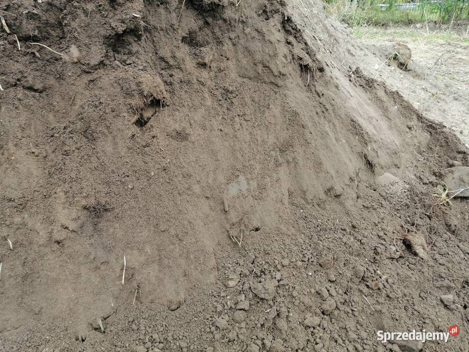 Usługi transportowe wywrotka ładowność 10 ton Żelisławice