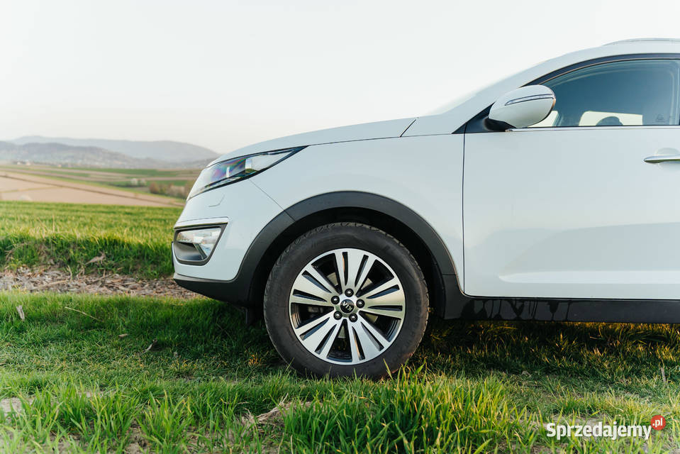 Kia sportage 2015 Rok produkcji 2015 Sportage Wieprz