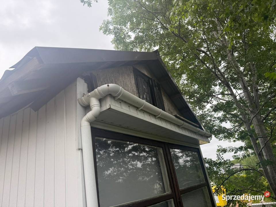 Barak holenderka pomorskie Warszawa