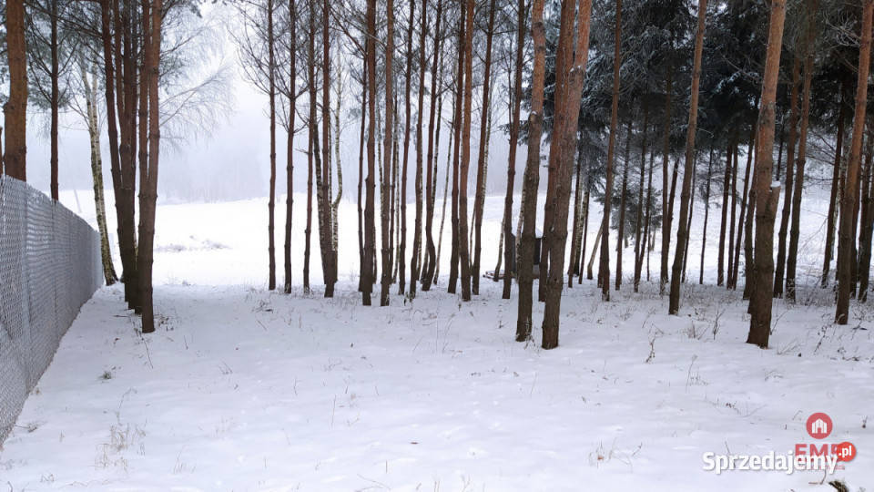 Działka Krynice 2181m2 2181m2