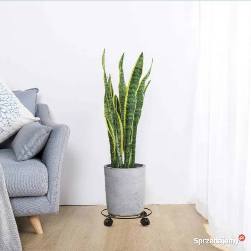 Nowe 2 wózki na rośliny stojak z kółkami Poraj sprzedam