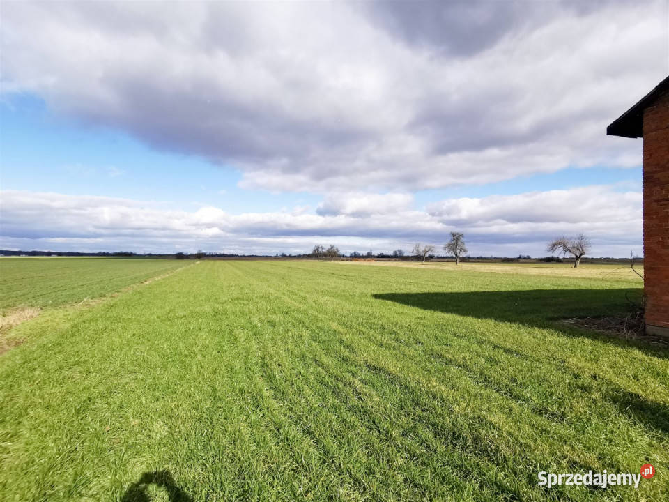 sprzedaży domu Wacławów 80m2