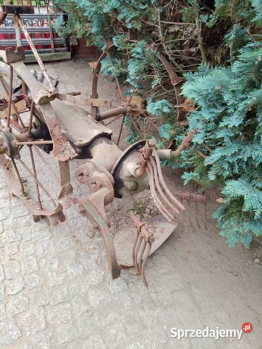 pług dwuskibowy kopaczka do kartofli Wykroty sprzedam