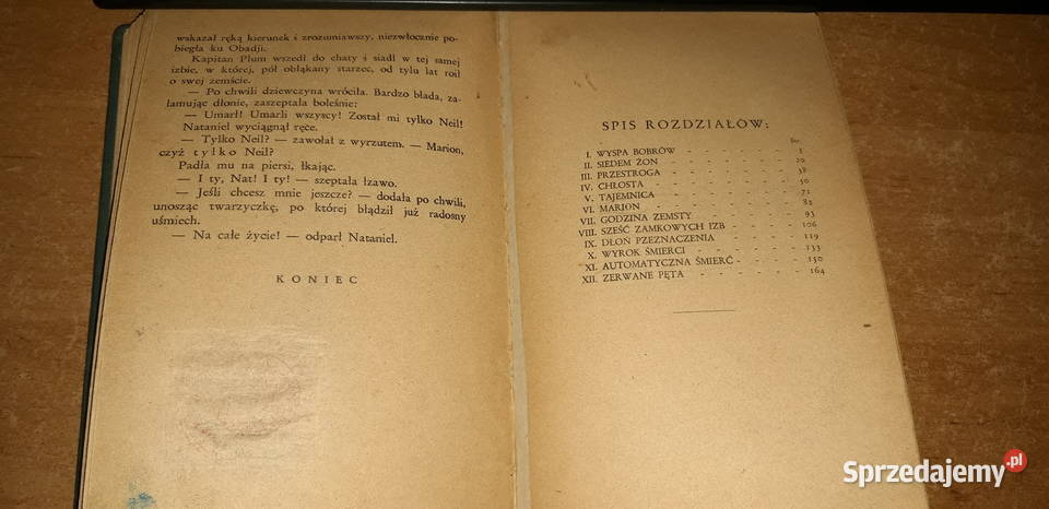 JOCURWOŚRÓD MORMONÓW 1929opr pierwodruk No01691 Iwno