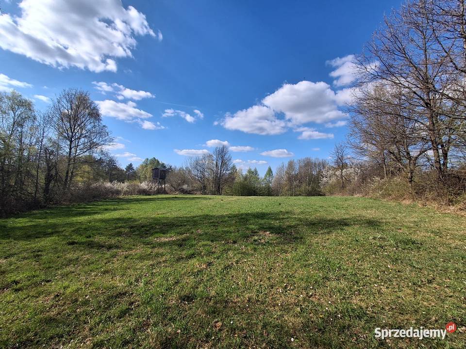 Lipnica dolna Działka rolnoleśna małopolskie