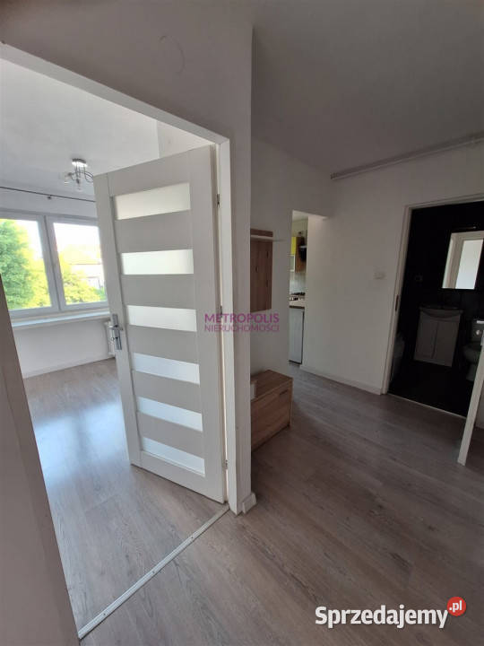 Mieszkanie Rybnik 50m2 3pok Wynajem