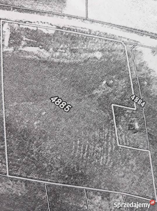 Dzialka Lipnica Wielka Grapa