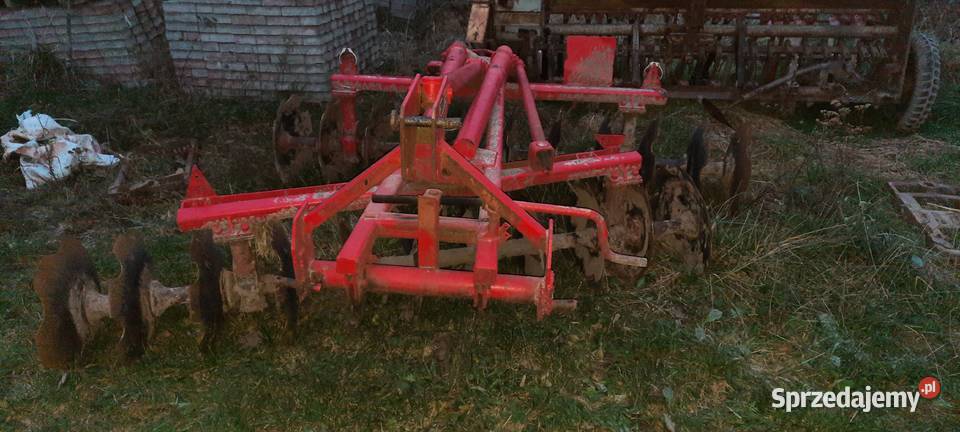 Talerzowka kujawsko-pomorskie Bajerze sprzedam